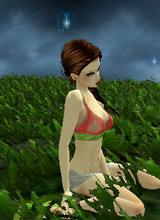 avpic