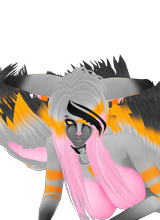 avpic