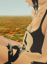avpic