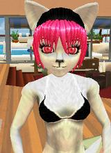 avpic