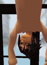 avpic