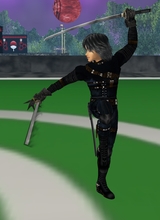 avpic