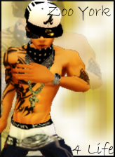 avpic