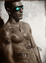avpic