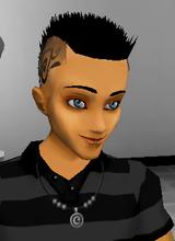 avpic