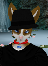 avpic