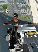 avpic