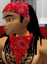 Guest_elavateingmoney