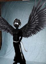 Guest_crivins