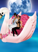 avpic