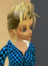 avpic