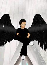 avpic
