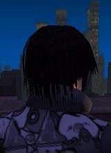 avpic