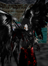 avpic