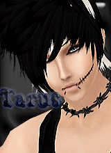 avpic
