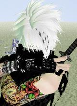 avpic