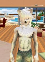 avpic