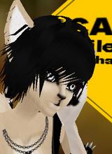 avpic