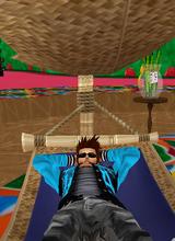 avpic
