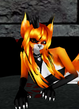 avpic