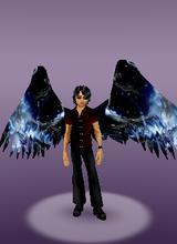 avpic