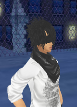 avpic