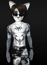 avpic