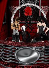 avpic