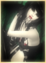 avpic