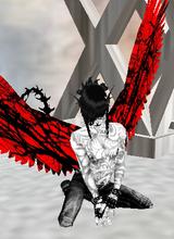 avpic