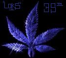 Guest_LOKS35