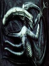 Avatar pic