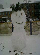 avpic