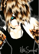 NiteServant