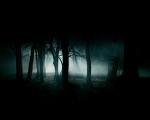 SilentTear1187