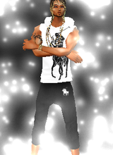 avpic