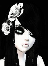 Guest_VladaJ