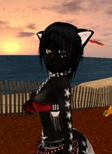 avpic