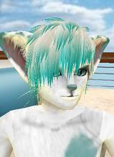 avpic
