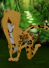 avpic