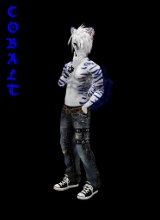 avpic