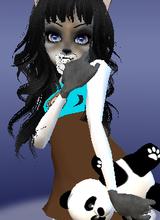 avpic