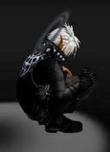 avpic