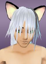 avpic