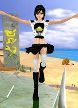 avpic