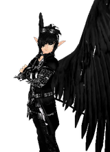 avpic