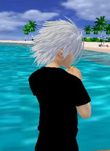 avpic