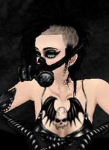avpic
