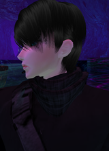 avpic