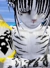 Avatar pic